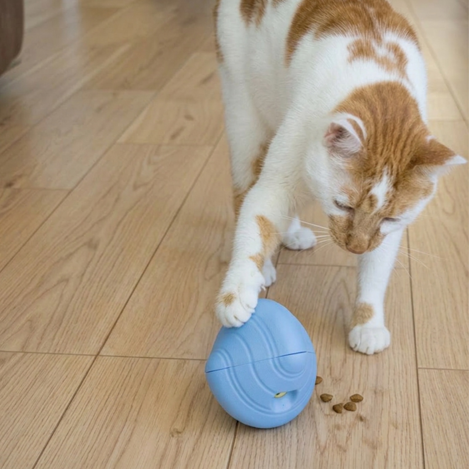 Orange and white cat playing with a blue Herio treat toy